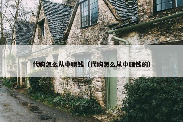 代购怎么从中赚钱（代购怎么从中赚钱的）