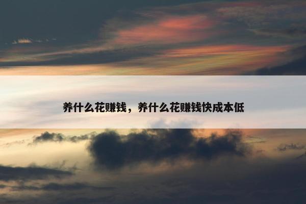 养什么花赚钱，养什么花赚钱快成本低