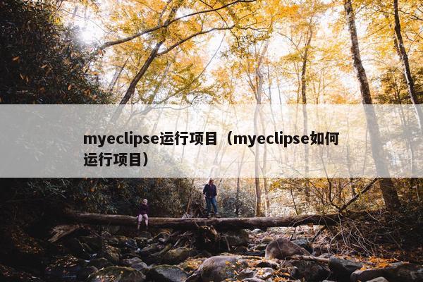 myeclipse运行项目（myeclipse如何运行项目）