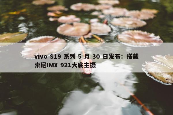 vivo S19 系列 5 月 30 日发布：搭载索尼IMX 921大底主摄