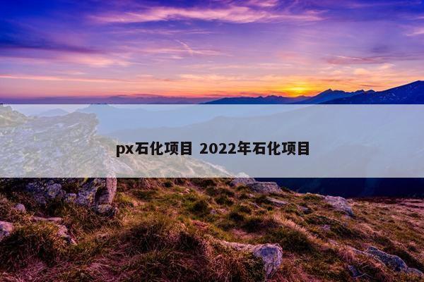 px石化项目 2022年石化项目