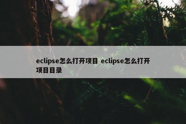 eclipse怎么打开项目 eclipse怎么打开项目目录