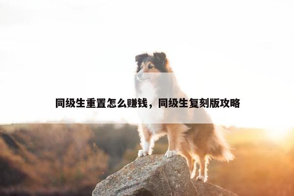 同级生重置怎么赚钱，同级生复刻版攻略