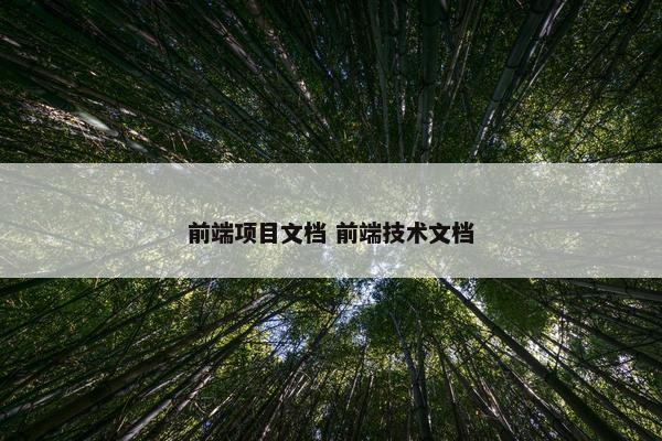 前端项目文档 前端技术文档