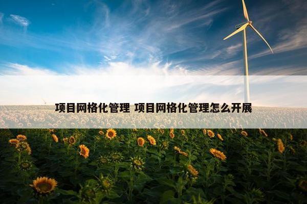 项目网格化管理 项目网格化管理怎么开展