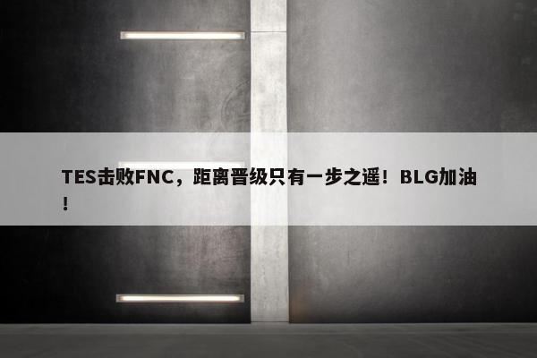 TES击败FNC，距离晋级只有一步之遥！BLG加油！